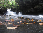 SX10699-10706 Waterfall in Caerfanell river, Brecon Beacons National Park.jpg